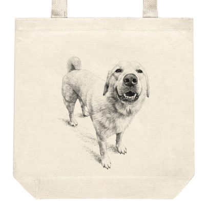 Kids Totes