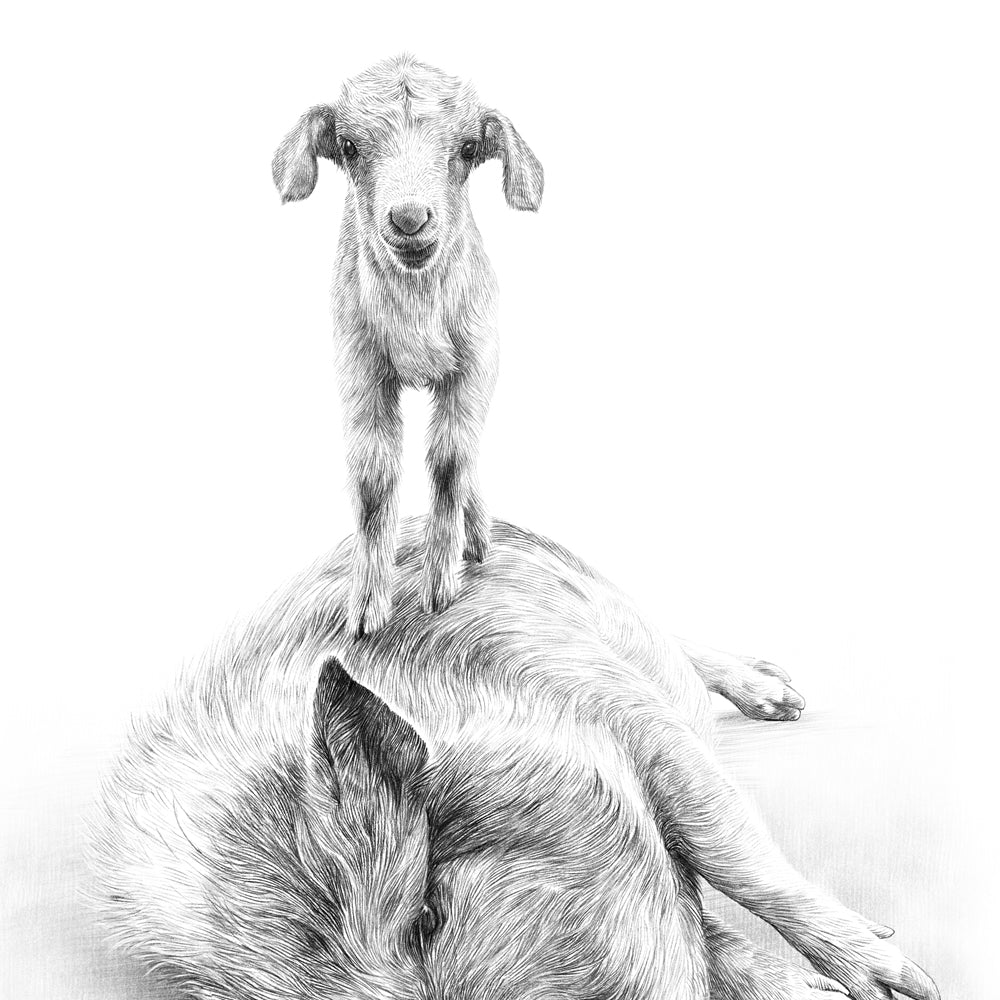 5x7 Animal Artwork in Bamboo Stand