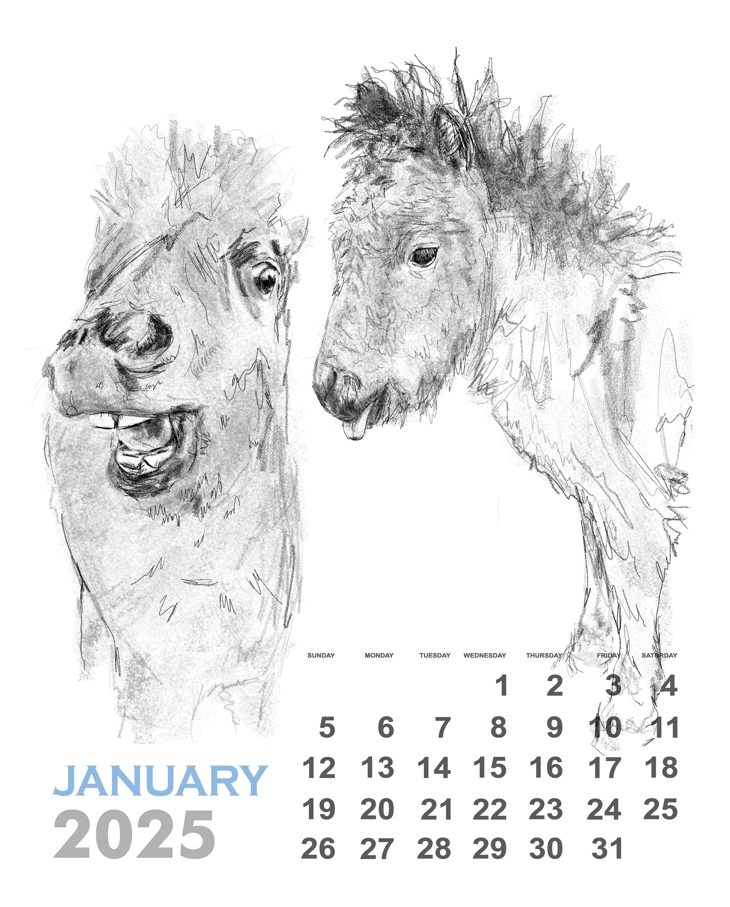 Sketchbook Wall Calendar