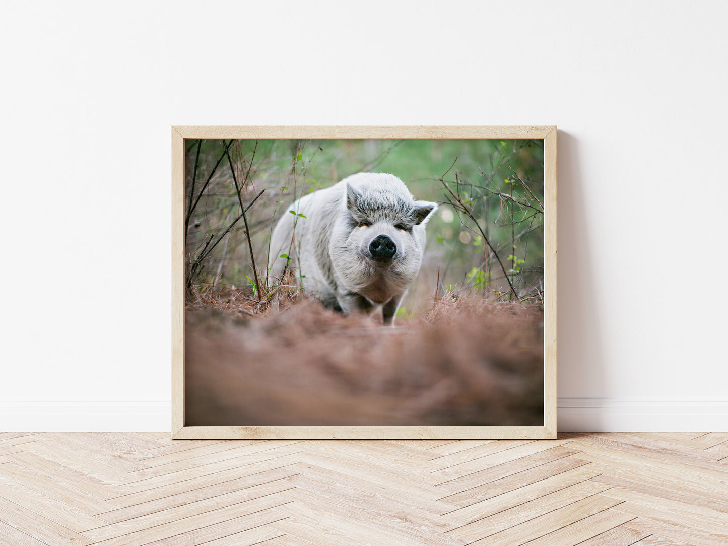 8x10 Photography Prints on Textured Cotton Paper