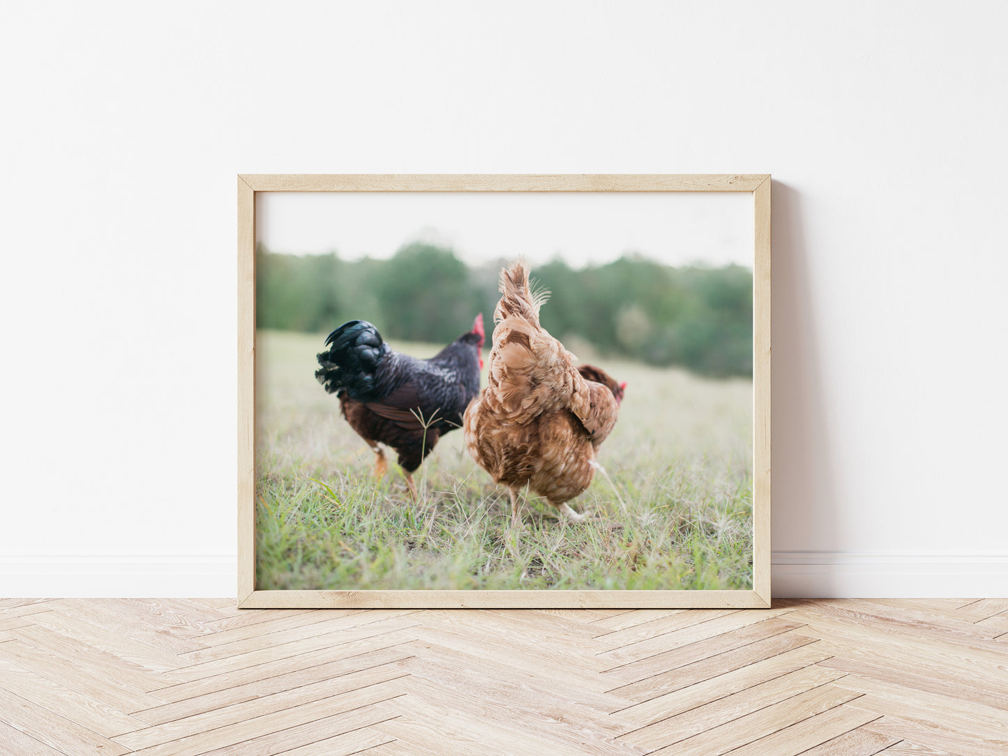 8x10 Photography Prints on Textured Cotton Paper