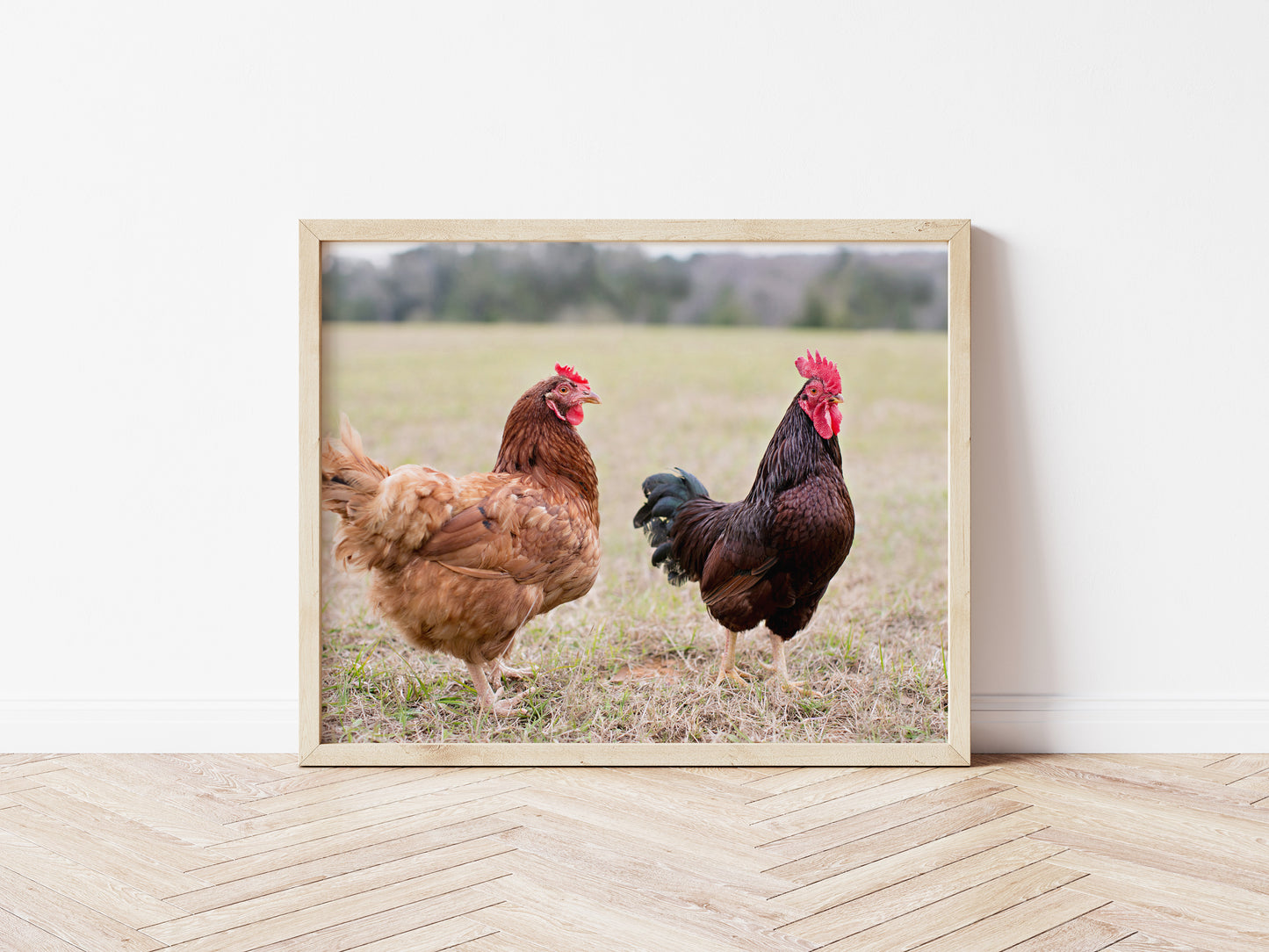 8x10 Photography Prints on Textured Cotton Paper