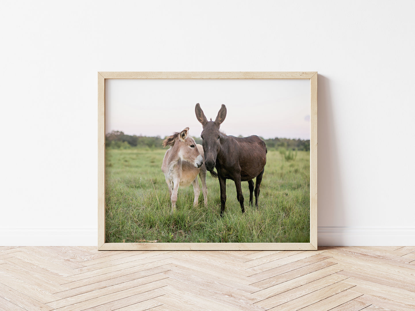 8x10 Photography Prints on Textured Cotton Paper